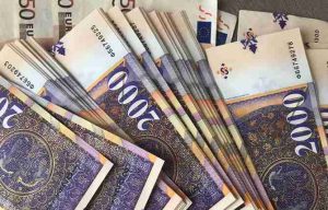 Sektorët që paguhen më së shumti