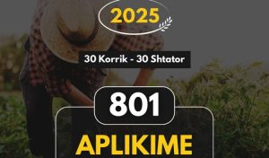 Përmbyllet me sukses faza e aplikimeve në Skemën Kombëtare të Investimeve, 801 kërkesa nga fermerët në të gjithë vendin