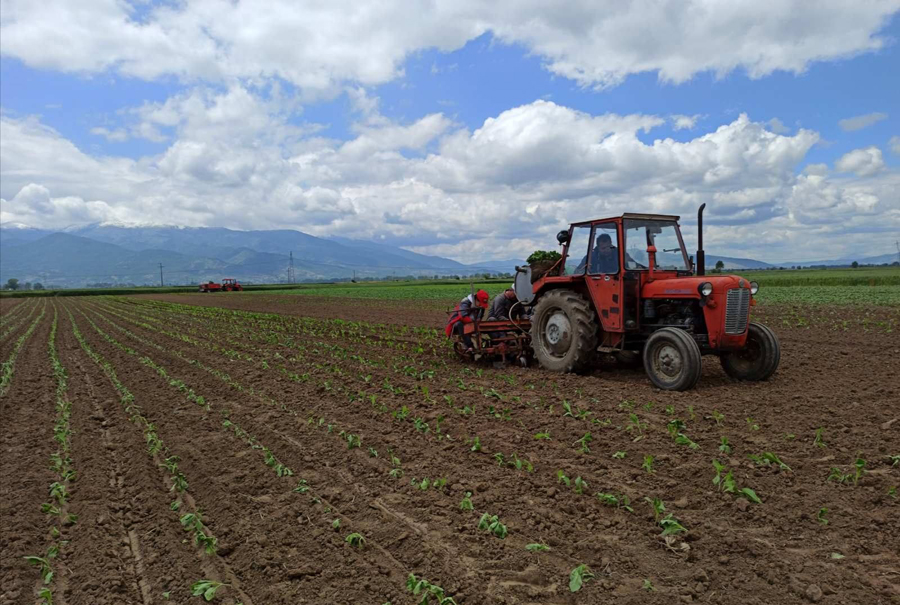 Konsolidimi i tokës  mundësi për prodhim bujqësor dhe biznese konkurruese